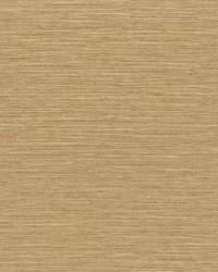 Horizontal Threads Wallpaper Browns by  York Wallcovering 