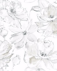 Floral Dreams Wallpaper Gray by   