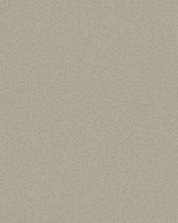 Honey Bee Wallpaper Browns by  York Wallcovering 