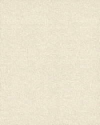 Sweet Birch Wallpaper White Off Whites by   