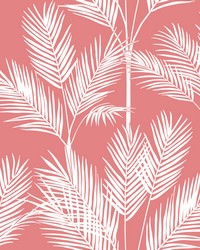 King Palm Silhouette Wallpaper Coral by   