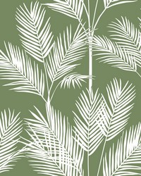 King Palm Silhouette Wallpaper Green by   