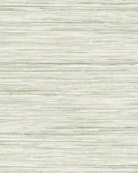 Bahiagrass Wallpaper Green by   