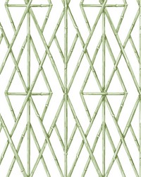 Riviera Bamboo Trellis Wallpaper Green by   