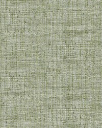 Papyrus Weave Wallpaper Green by  Futura Vinyls 