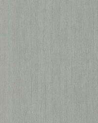 Natural Texture Wallpaper Gray by  Lee Jofa 