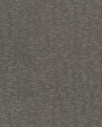Weathered Cypress Wallpaper Silver by   