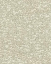Weathered Cypress Wallpaper White by   