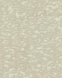 Weathered Cypress Wallpaper White by  Lee Jofa 