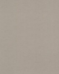 Gossamer Woven Wallpaper Taupe by   