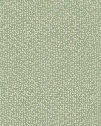 Galaxies Wallpaper Green by  Lee Jofa 