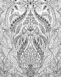 Jaipur Paisley Damas Wallpaper Mural Black White by  York Wallcovering 