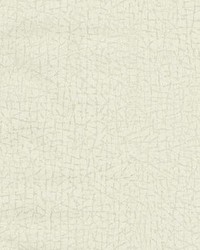 Cork Texture Wallpaper Neutral by  York Wallcovering 