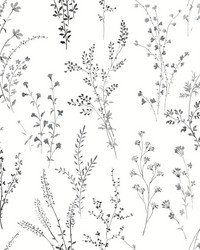 Wildflower Sprigs Wallpaper Black White by  Kravet 