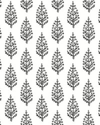 Paisley On Calico Wallpaper Black White by  Fabricut Fabrics 