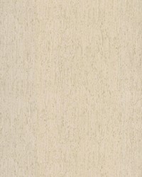 Rugged Bark Wallpaper Off-White by   
