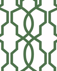 Hourglass Trellis Wallpaper Green by   