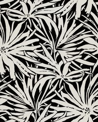 Floral Canopy Black by   