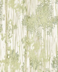 Aspen Grove Green by   