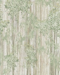 Aspen Grove Forest by   