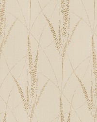 Graceful Willow Pale Straw by   