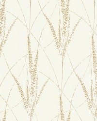 Graceful Willow Cotton by   