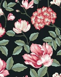 Morning Garden Wallpaper Black by   