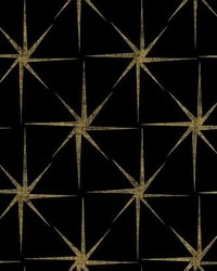 Evening Star Wallpaper Black by  Creative Fabrics 