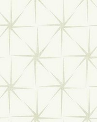 Evening Star Wallpaper Pearl by  Creative Fabrics 