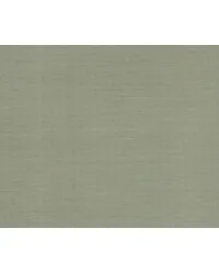 Maguey Sisal Desert Sage by   