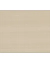 Silk Road Champagne by   