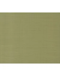 Maguey Sisal Sage by   