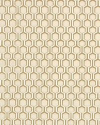 Bee Sweet Wallpaper Gold by  York Wallcovering 