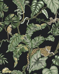 Jungle Cat Wallpaper Black by   