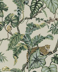 Jungle Cat Wallpaper Beige by   