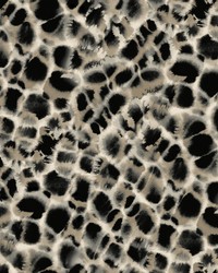 Leopard Rosettes Wallpaper Black by   