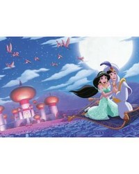DISNEY PRINCESS  ALADDIN A WHOLE NEW WORLD XL CHAIR RAIL PREPASTED MURAL 6 X 10.5  ULTRASTRIPPABLE by   