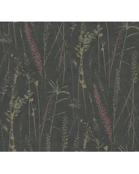 Meadow Splendor Black by   