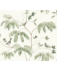 Cillian Dark Green by   