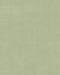 Varlov Light Green by   