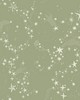 York Wallcovering Stjarnhimmel Green