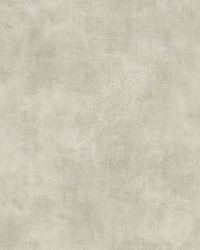 Plaster Finish  Storm Grey by   