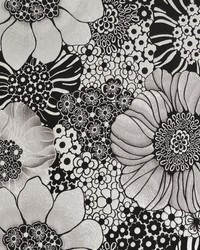 Anemones Wallpaper  Blacks by  York Wallcovering 