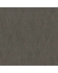 Challenger Shadow by   