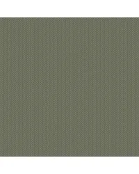 Stroll Greenhouse by   