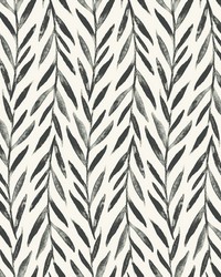 Willow Wallpaper Black by  Stroheim 