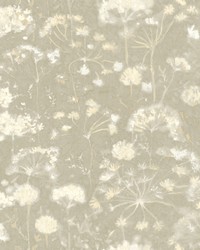 Botanical Fantasy Wallpaper Light Grey by  Winfield Thybony Design 