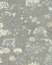 Botanical Fantasy Wallpaper Grey by  Winfield Thybony Design 