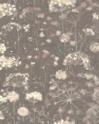 Botanical Fantasy Wallpaper Dark Grey by   