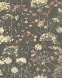 Botanical Fantasy Wallpaper Black by   